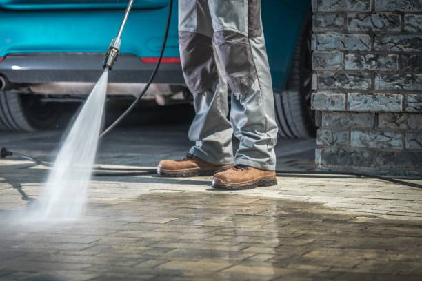 Best Dumpster Area Cleaning  in Palmyra, NJ
